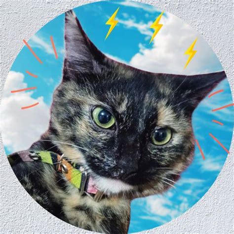 Estressadissima Leaked XxX 🔥 39 Pics