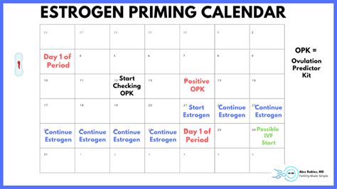 Estrogen Priming Protocol Calendar
