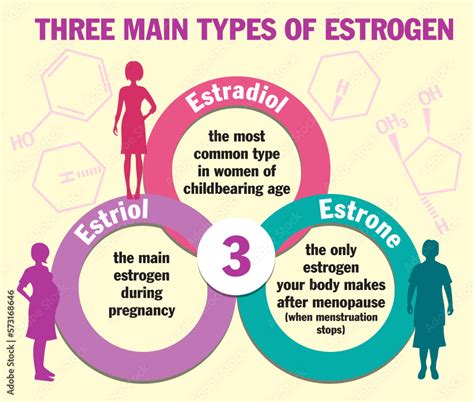 Estrogen in men