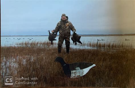 Estuary by Dave Clark: Barnegat... - Waterfowl Gear Trader