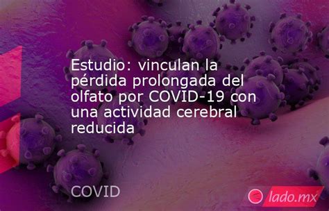 Estudio: vinculan la pérdida prolongada del olfato por COVID-19 con una actividad cerebral reducida