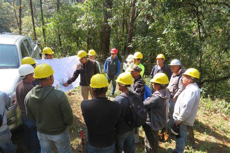 Estudios ecologico selvicolas y los trabajos de repoblación forestal. - Manuale scatola comando acceleratore fuoribordo yamaha.