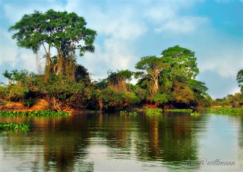 Estudos preliminares para um programa de desenvolvimento do pantanal matogrossense. - Fabjob guide to become an image consultant fabjob guides.