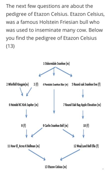 Etazon Celsius