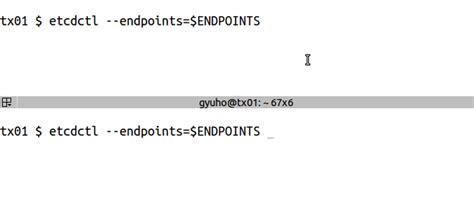 Etcdctl v3 get all keys.  This document serves as a comprehensive guide f...
