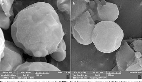 Ethambutol-Loaded Solid Lipid Nanoparticles as Dry Powder …