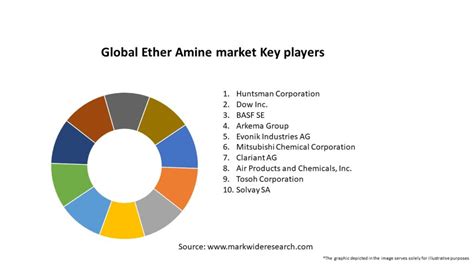 Ether Amine Market Growth and Forecast till 2030 - MarketWatch