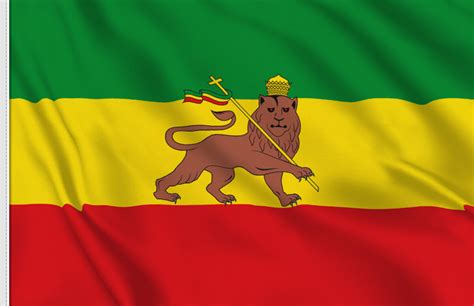 Ethiopian flag with lion. .  <a href=https://dev.sumo.app/assets/images/y...