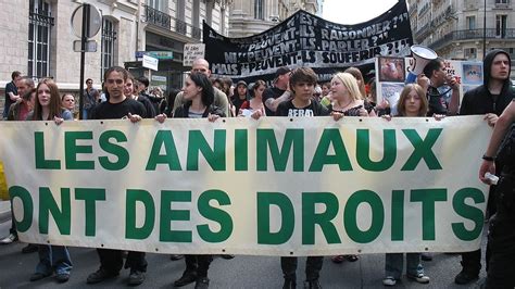 Ethique animale
