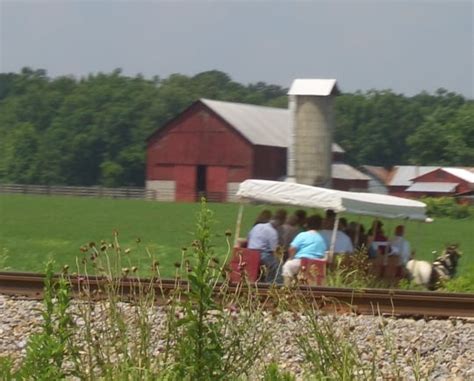 Things to Do in Ethridge, TN - Ethridge Attractions. 1. Ethridge Motorsports Park. 2. Top Gun Arms. 3. Ethridge Amish Information Center & Wagon Tours. NO PHOTOGRAPHY allowed of the Amish people themselves - that's simply disrespectful to …. 