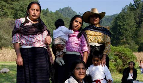 Etnografía contemporánea de los pueblos indígenas de méxico. - 10. social xavier guide english medium.