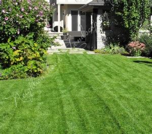 Etobicoke Landscaping that is Affordable Call (647) 556-3118