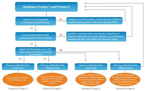 Ettan press manual.  These enable multiplexing of up to three separate protein mixtu...