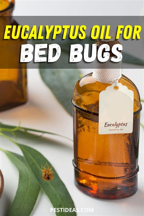 Eucalyptus Oil for Bed Bugs - Pest Ideas