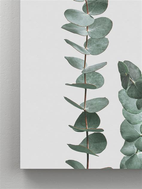 Eucalyptus Wall Art - Etsy