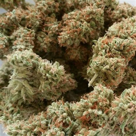 Find the best dispensary weed deals on flowe