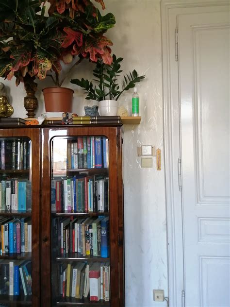 Euphie_Sol Leaked XXX 🍌