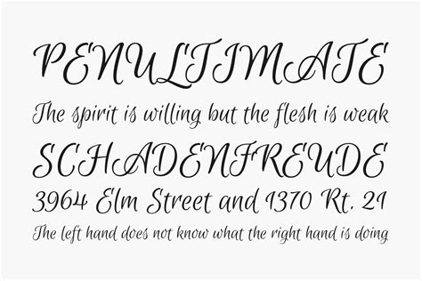 Euphoria Script Fonts Shmonts