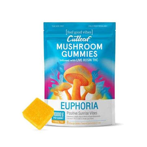 The Cutleaf Euphoria Live Rosin THC Mushroom Gummies are mushroo