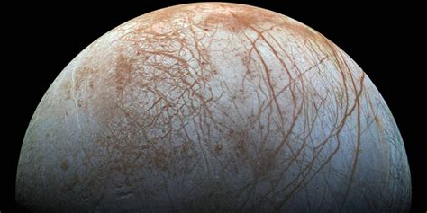 codini.rgarabwor.edu.pl. 