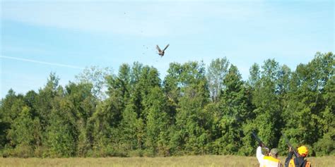 European Tower Shoots - Walkiewicz Pheasant Farms