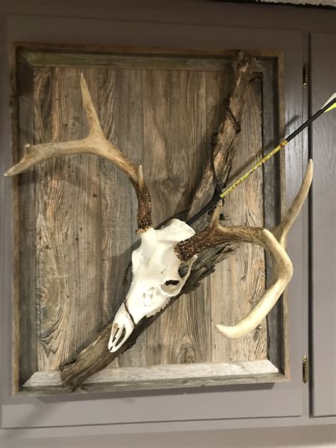 Award-winning taxidermist, artist and designer Nickie Carter clearly explains all of the options available when choosing a taxidermy display for whitetail deer shoulder mounts. When you take your deer to the taxidermist, you will be asked to make some decisions that you may not have considered. You need to decide on the pose, the turn, and the ...