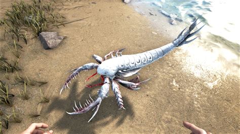 Apr 17, 2016 · The Eurypterid is only found at the bottom of the oceans. It moves relatively slowly underwater and is very quiet. They usually spawn in groups of about 4, so be cautious as there can be a lot in an isolated area. A Eurypterid is usually a sign that the player is near coral and seaweed. Whenever a player invades their territory, a Eurypterid ... 