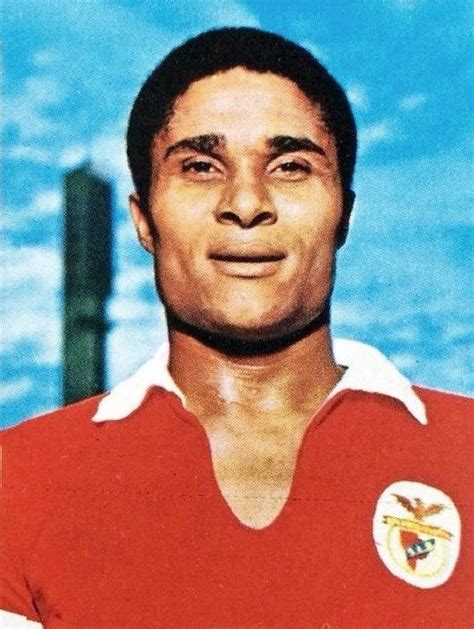 Profile picture of Eusebio Huels