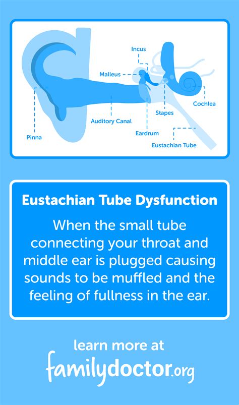 Eustachian tube disorder icd 10. Things To Know About Eustachian tube disorder icd 10. 