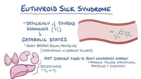 Euthyroid sick syndrome in older people - cambridge.org