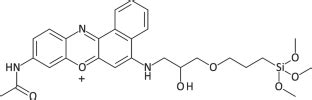 Evaluation of darrow red–organosilane composite as a …