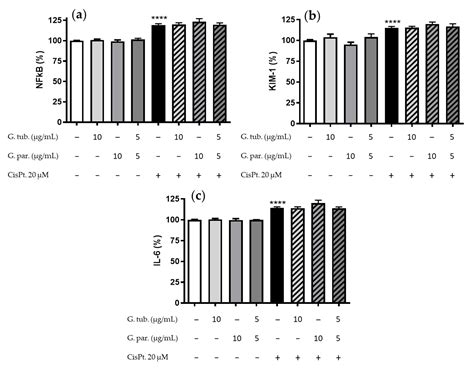 Evaluation of nephroprotective effects of persea americana on cisplatin …