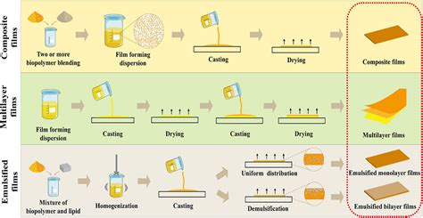 Evaluation of the functionality of bio-based food packaging films