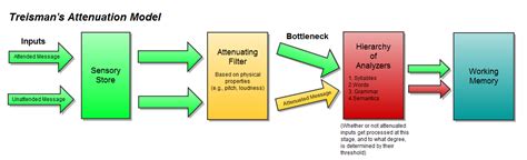 Evaluation of treismans attenuation model 1 treismans