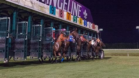 Evangeline Downs Entries & Results: 4/8/2023 Jump To Race Number: 6 | 8. 2023 Lafayette Stakes (LS) Post Time: 8:46 PM ET Distance: 6 f (Dirt) Age/Sex: 3 M Time: Rank Silks Horse / Sire Rating Trainer / Jockey Last Start .... 