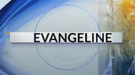 Evangeline parish arrests 2020.  RECORDS/INVESTIGATIONS SECRETARY - SHONQU...
