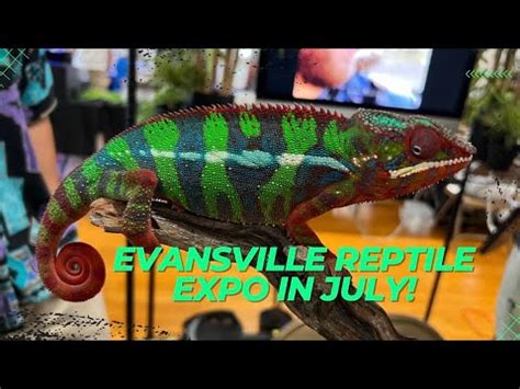 令 年 曆 聯 缾 Join us at the Evansville Reptile and Exotics Show
