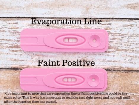 Evaporation lines are a common occurrence that is observed during a home pregnancy test. It is a faint streak that transpires in the result’s window area after the urine sample dries up from the test strip. The urine is likely to leave a faint line after evaporation, called the evaporation line. It happens when the urine is left for more than ... . 