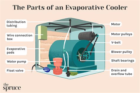 Evaporative Cooler Bearings: The Heart of Efficient and Reliable Cooling