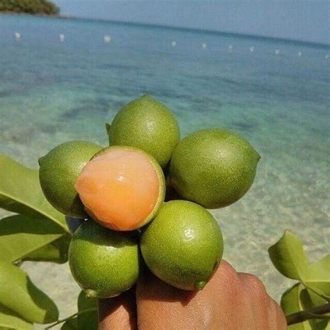 Evebabyxo Onlyfans Leak [PPV] 195 Photos