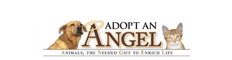 Events - adoptanangel.net