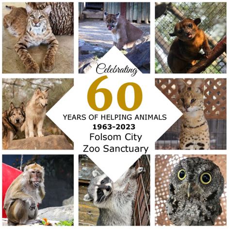 Events Folsom Zoo Sanctuary Friends