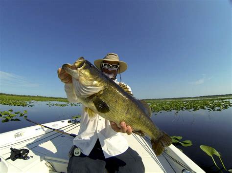 Everglades fishing company. Things To Know About Everglades fishing company. 