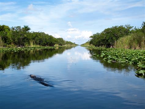 Everglades holiday park florida. Glide through the River of Grass on an airboat while hearing live commentary from the guide about the region’s wildlife and ecosystem. Includes hotel pickup and drop-off. from. $65.00. per adult. Lowest price guarantee Reserve now & pay later Free cancellation. Ages 3-99, max of 24 per group. Duration: 4h. 