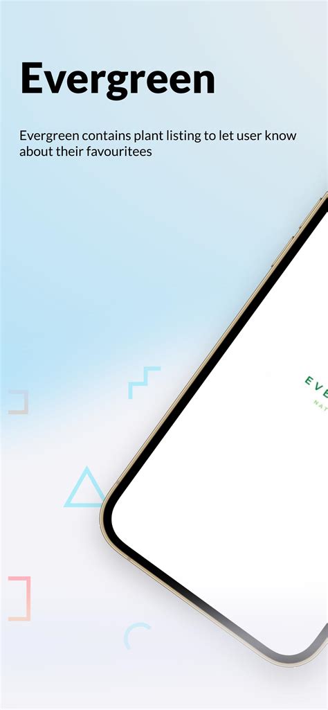 Evergreen APK Download for Android 