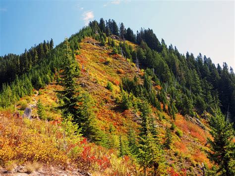 Evergreen Mountain Lookout — Washington Trails Association