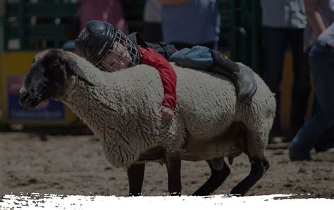 Evergreen Rodeo Mutton Bustin Evergreen Rodeo