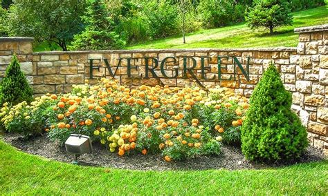 Evergreen farms. www.eagleevergreensfarm.com 