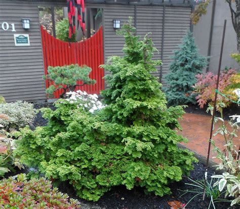 See reviews for EVERGREEN NURSERY INC in Katonah, NY at 688 CROSS RIVER RD from Angi members or join today to leave your own review.. 