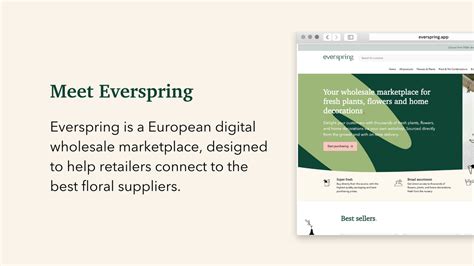 Everspring dropshipping.  Take the first step towards .  Find only reliable flora...